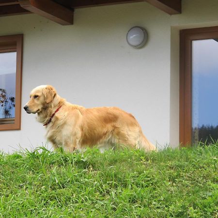 Il Cardo Trentino Apartment Bedollo Ngoại thất bức ảnh