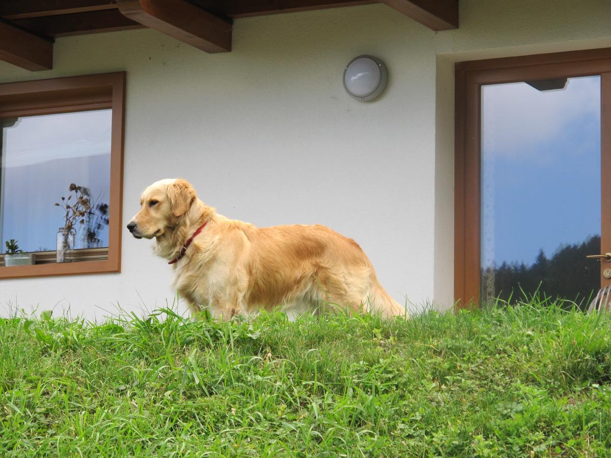 Il Cardo Trentino Apartment Bedollo Ngoại thất bức ảnh